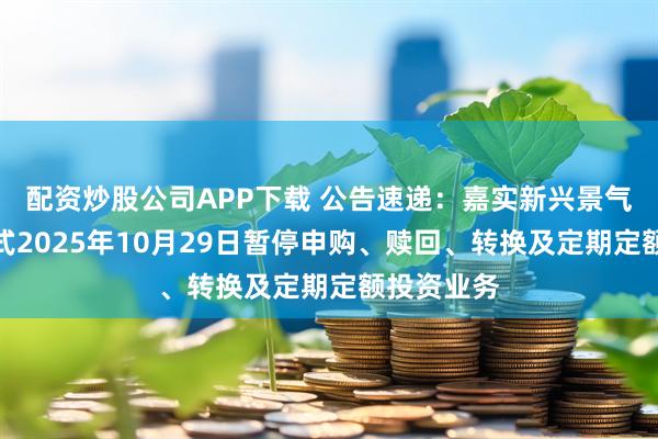 配资炒股公司APP下载 公告速递：嘉实新兴景气混合发起式2025年10月29日暂停申购、赎回、转换及定期定额投资业务