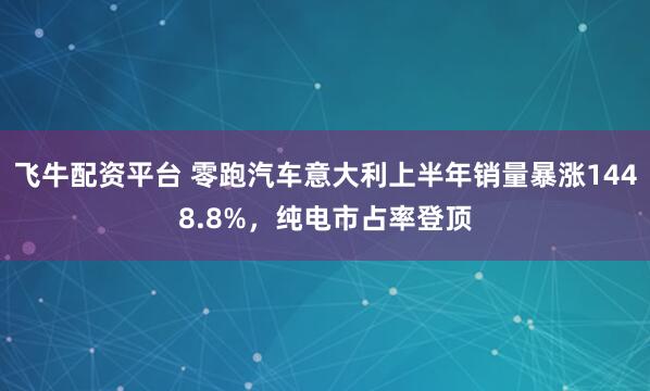 飞牛配资平台 零跑汽车意大利上半年销量暴涨1448.8%，纯电市占率登顶